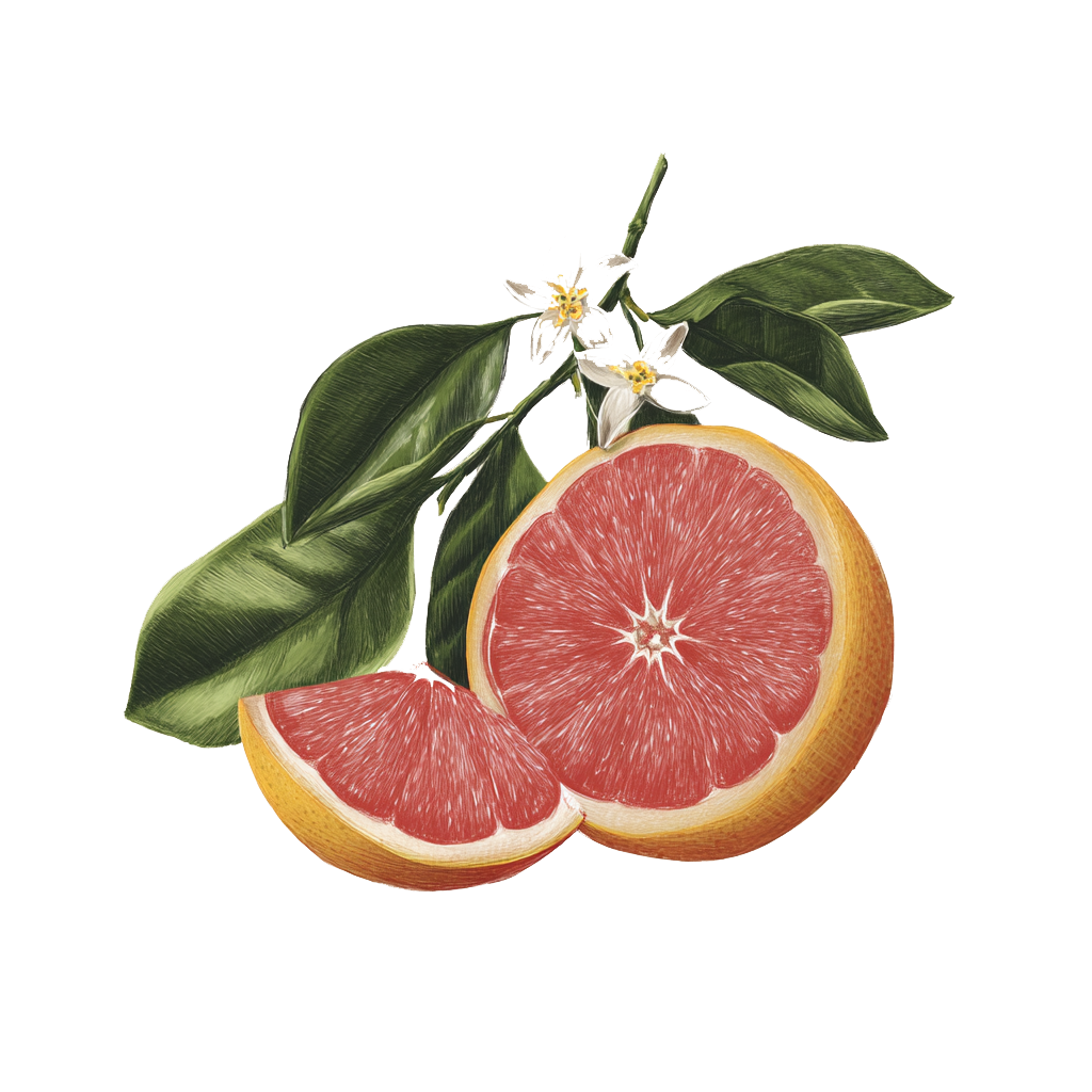 grapefruit