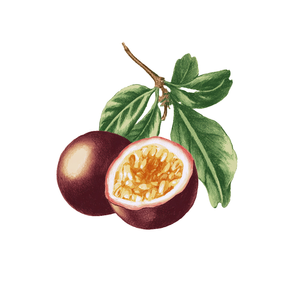 passion-fruit