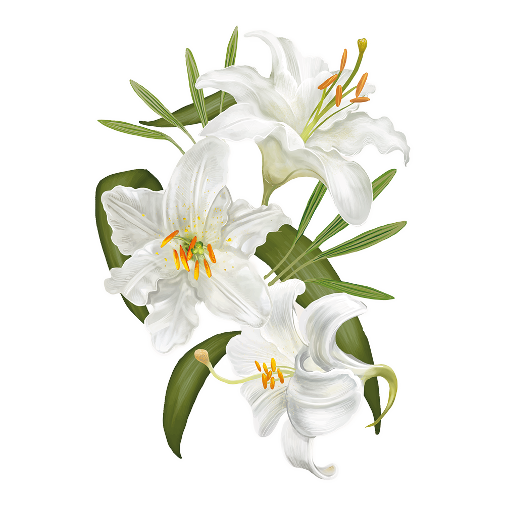 white-flowe